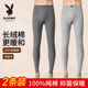 男款 保暖裤 纯棉2026新款 打底裤 花花公子秋裤 冬季 全棉男士 保温线裤