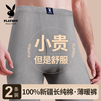 花花公子秋裤男100%棉毛裤