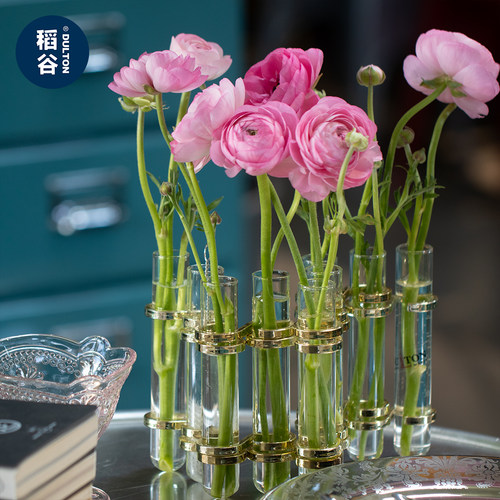 稻谷藏库dulton玻璃桌面试管花瓶