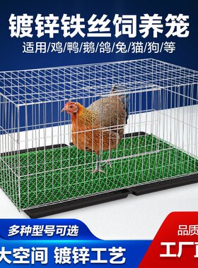 兔笼镀锌铁丝笼家用兔笼
