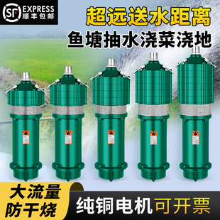叶轮潜水泵高扬程大流量两相电灌溉220v农用深井抽水泵家用油浸式