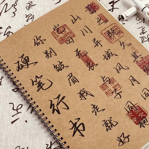 硬笔行书成人青年练字高中生金句文案励志语录言情小说钢笔练字帖