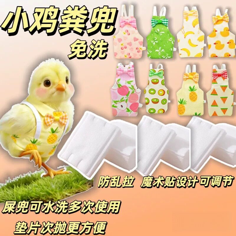 小鸡专用纸尿裤尿不湿宠物屎兜防乱拉鹦鹉芦丁鸡雏鸡服饰尿垫尿片