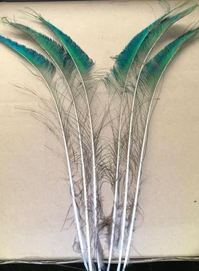 天然真孔雀羽毛家居摆件 大眼睛孔雀毛客厅 花瓶装饰品孔雀翎尾毛