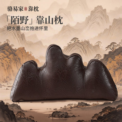 骆易家办公椅靠垫客厅沙发抱枕