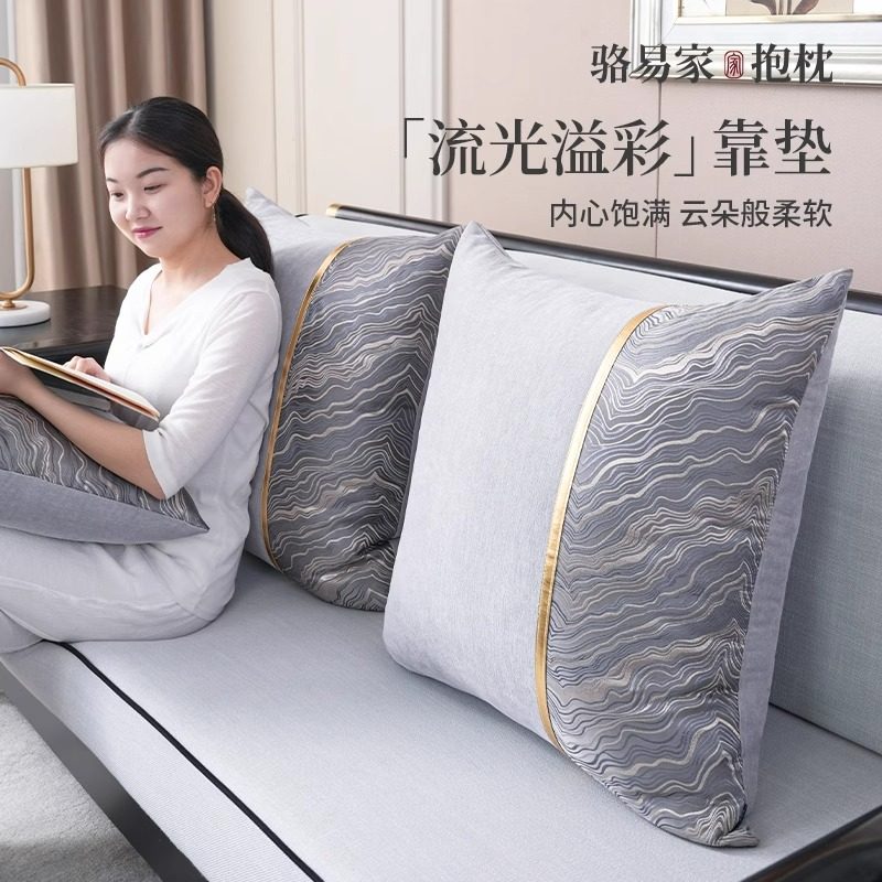 骆易家夏季抱枕沙发客厅轻奢高级感靠背垫2025新款抱枕靠垫靠枕芯