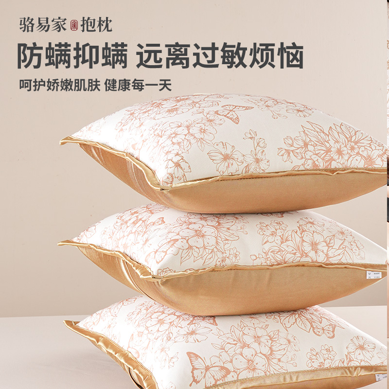 骆易家夏季冰丝抱枕家用沙发客厅睡觉定制靠枕床头靠垫套靠背含芯