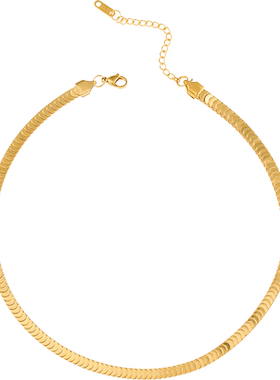 鱼鳞鳞片链欧美网红饰品女项链轻奢百搭简约锁骨链时尚潮钛钢配饰