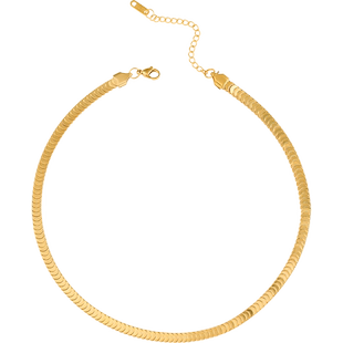 鱼鳞鳞片链欧美网红饰品女项链轻奢百搭简约锁骨链时尚潮钛钢配饰