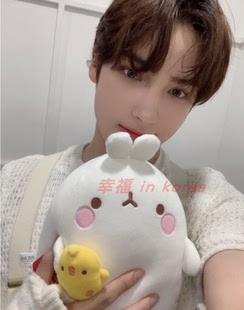 韩国代购 molang土豆兔 TXT男团休宁凯玩偶毛绒娃娃抱枕公仔