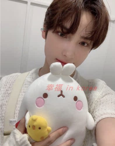 韩国代购土豆兔男团休宁公仔