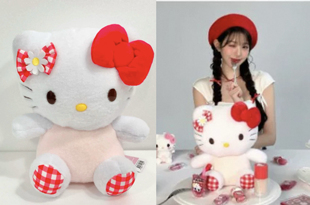 韩国代购正品 張元英同款 kitty美乐蒂格子布料公仔娃娃毛绒玩偶