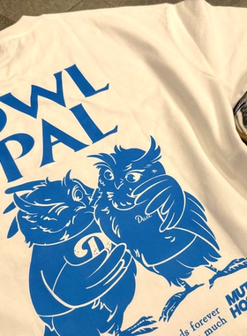 2026duet原创 owl pal正面口袋男女休闲圆领全棉T恤