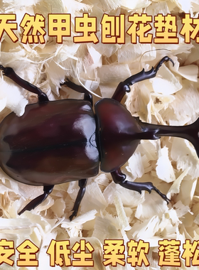 甲虫刨花垫材木屑阔叶木除臭刺猬兔子松鼠龙猫锯末垫材独角仙甲虫