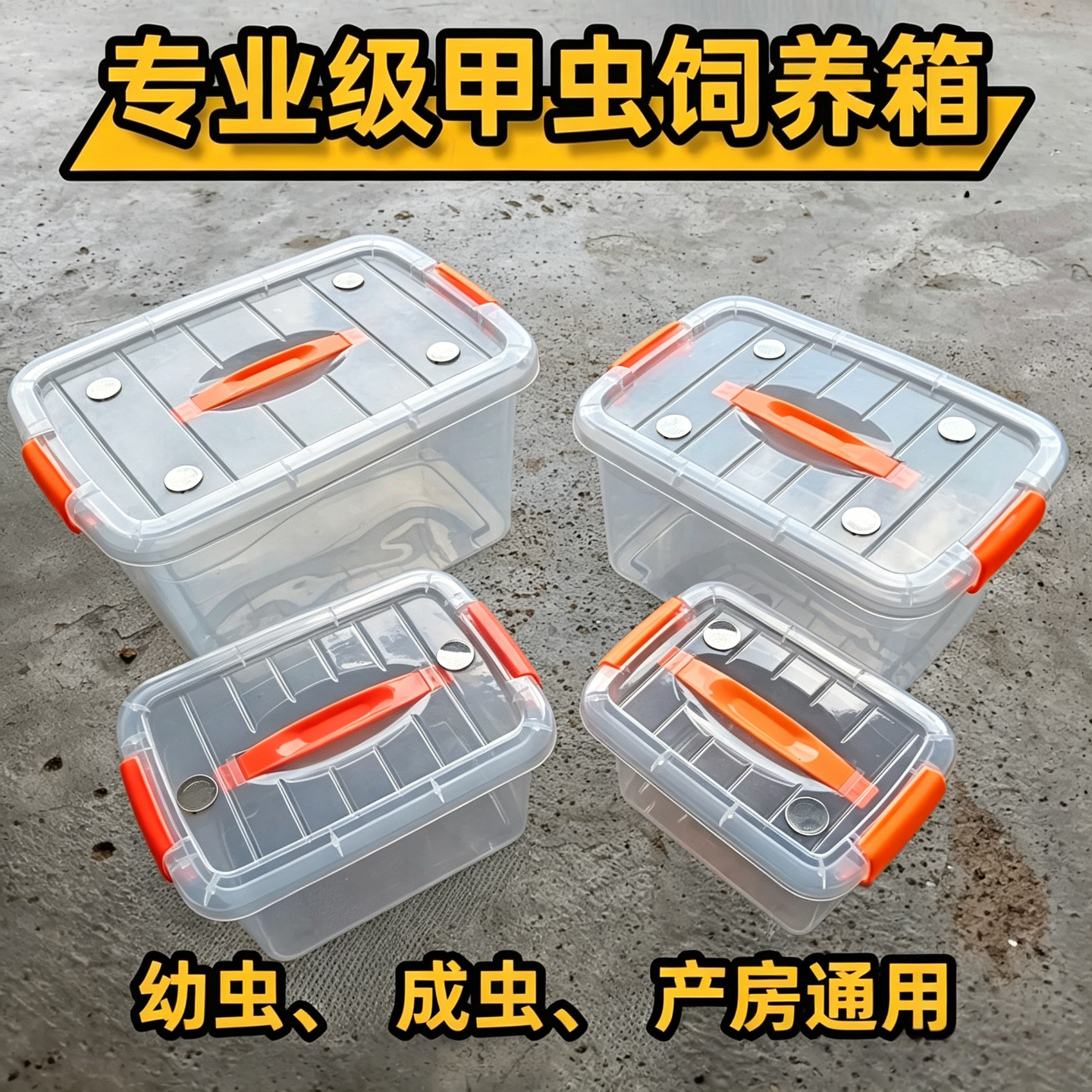 甲虫饲养箱独角仙锹甲专业爬虫箱兜虫可透气饲养盒幼虫产房爬宠箱