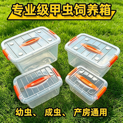 甲虫饲养箱独角仙锹甲专业爬虫箱兜虫可透气饲养盒幼虫产房爬宠箱