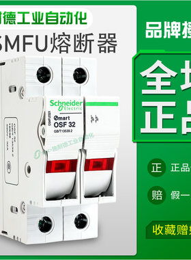 施耐德32a可换熔断器1P