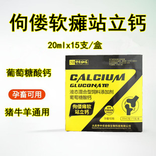 兽用羔羊软瘫葡萄糖酸钙口服液母羊缺钙小羊站立不稳四肢无力