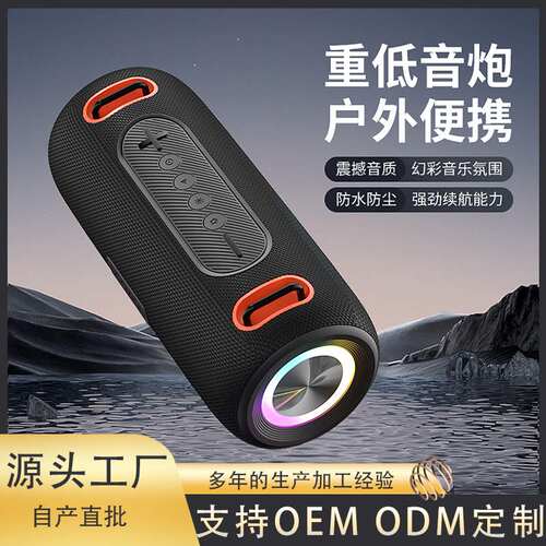 DOOWOO新款30W大无线/蓝牙音箱