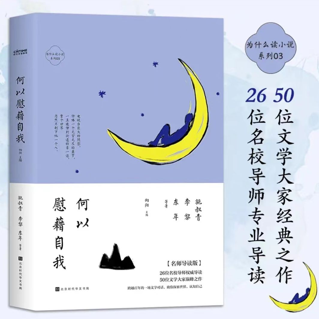 为什么读小说之何以慰藉自我