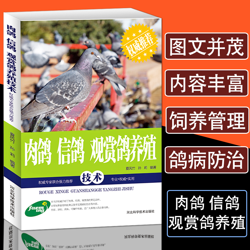 正版肉鸽信鸽观赏鸽养殖技术鸽病鉴别诊断与治疗方法护理养鸽设备饲料配比科学生态饲养管理技巧常见病防治教程鸽子养殖技术书大全