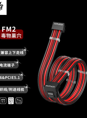 首席玩家FM2双90度模组线ATX3电脑电源PCIE5.1定制线彩色50807090