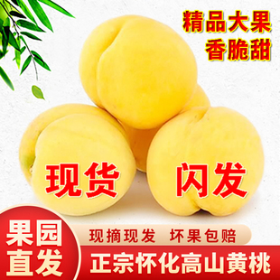 怀化黔阳高山锦绣黄桃新鲜水果套袋脆甜红心当季麻阳现摘现发桃子