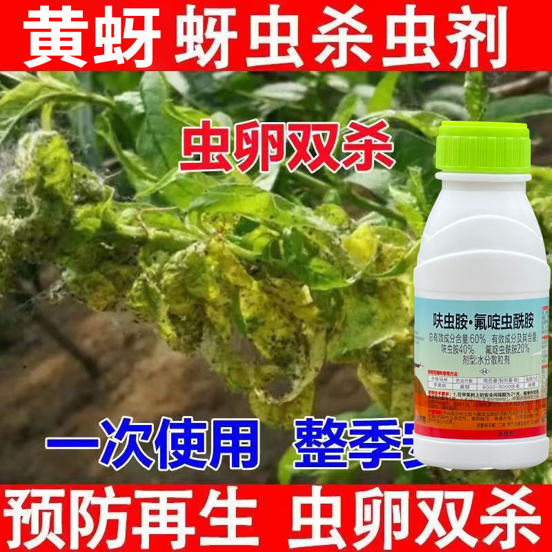 阻击队60%呋虫胺氟啶虫酰胺 抗性黄蚜蚜虫苹果树农药杀虫剂