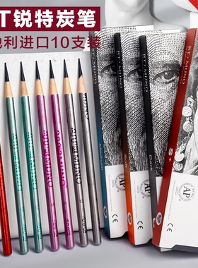 正品锐特炭笔MIJNO素描美术生专用初学者软中硬手绘画笔专业速写
