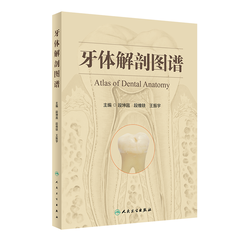 牙体解剖图谱  9787117341998   段坤昌  段维轶  王振宇   人民卫生出版社