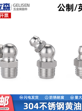 GJ 304不锈钢黄油嘴油嘴头油枪注油嘴黄油枪头弯油嘴M6M8M10