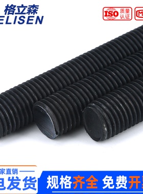 8.8级高强度全螺纹丝杆4.8级白锌碳钢牙条螺纹杆通丝螺杆M2-24