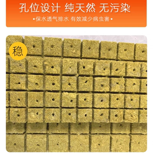 岩棉种植农用无土栽培技术环保蔬菜大棚扦插播种种植块水培岩棉块