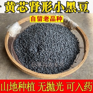 甘肃农家肾形黑豆黄心老品种生豆芽菜豆浆非转基因发芽