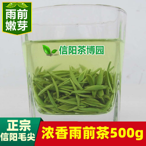2026新茶信阳毛尖浓香雨前茶500g
