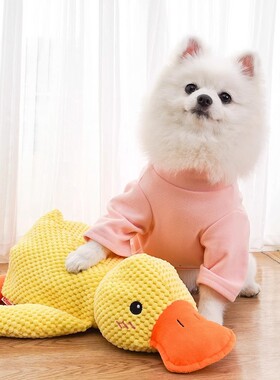 猫狗通用玩具小黄鸭会叫 外出玩具毛绒玩具25cm安抚玩具宠物猫