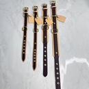 现货狗狗牵引绳猫咪项圈可爱宠物配件中小犬用品项圈 肩带通用