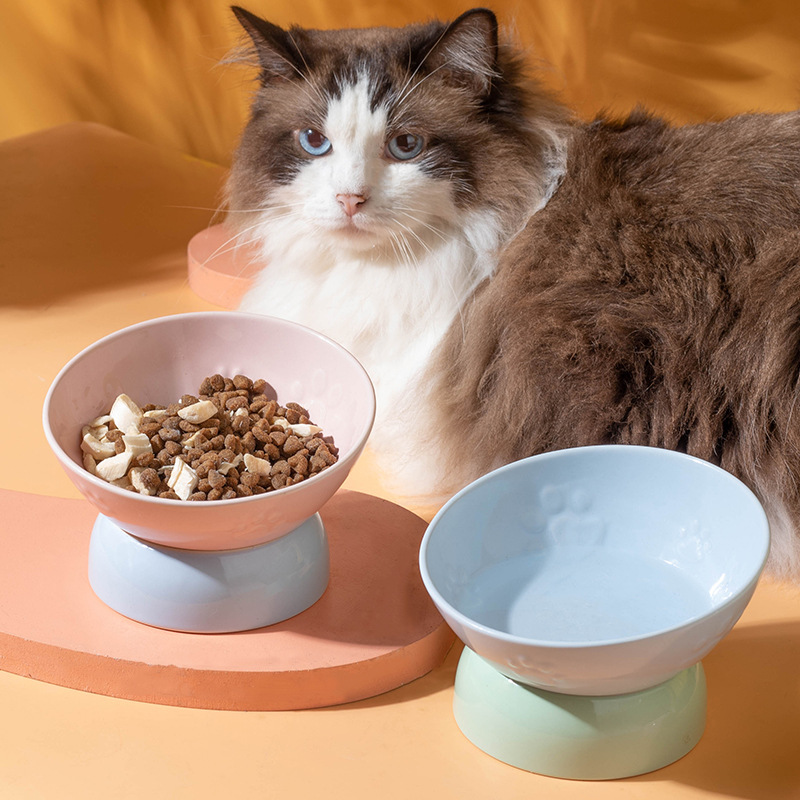 陶瓷猫碗碗高脚斜口碗保护颈椎猫咪喂食碗饮水碗宠物碗宠物用品