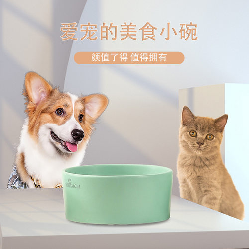 新款陶瓷猫碗恒温盆食具猫粮盆