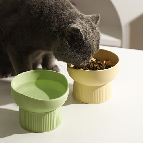 萌柒多猫狗碗/慢食碗陶瓷猫碗