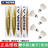Wicker Victor Victory Badminton Golden № 3 утки Fitting Gold 5 Стабильный клуб обучения уток