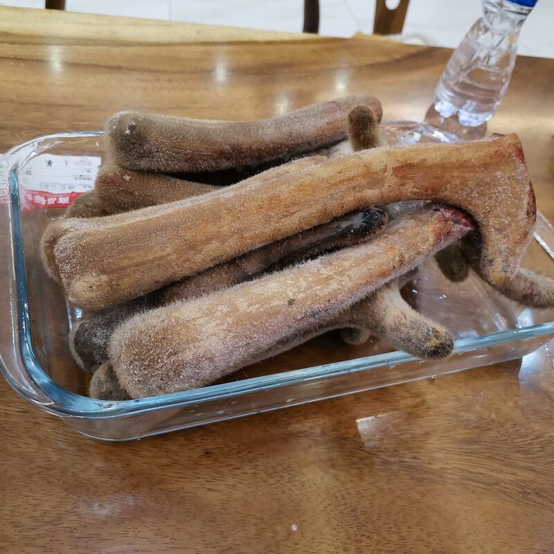 一物一图2020新鲜整枝吉林梅花鹿鹿茸新割鲜鹿茸冰保鲜顺丰空运