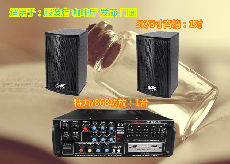 特力/带USB功放 背景音乐系统 挂壁音箱套餐 商店咖啡店音响套装