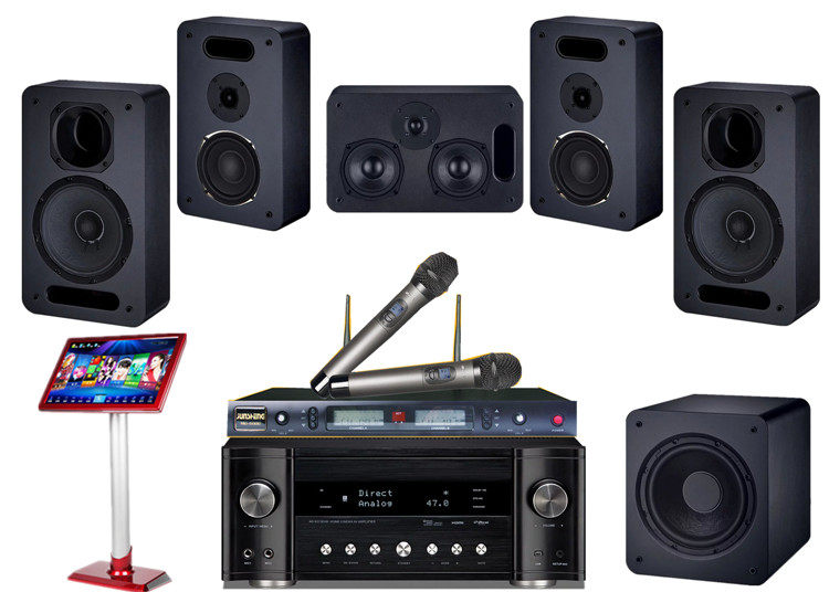 别墅5.1声道家庭影院  会议室5.1音箱套装 卡拉OK系统套装