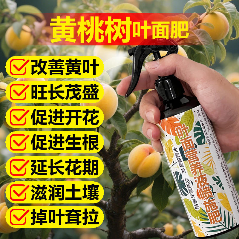 黄桃树专用肥料盆栽种植黄桃果树苗营养液氮磷钾颗粒浓缩有机肥料
