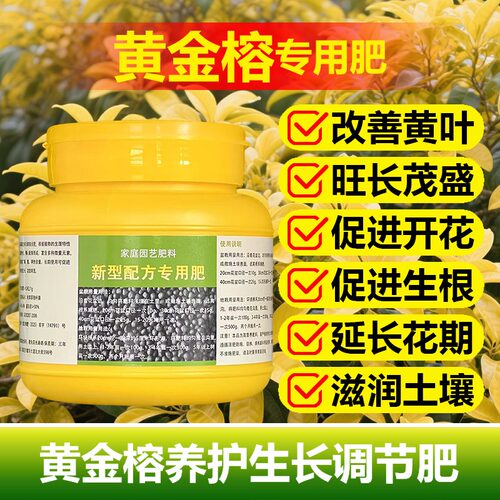 黄金榕专用肥料老桩盆栽绿植黄金榕树苗橡皮树营养液室内花卉肥料