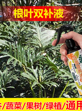 植物盆栽专用磷钾营养液体如意皇后吉利红植物浓缩水培花卉肥料