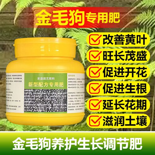 金毛狗蕨专用肥营养液土水培养殖干焦叶焦边枯萎发黑卷曲叶面肥料