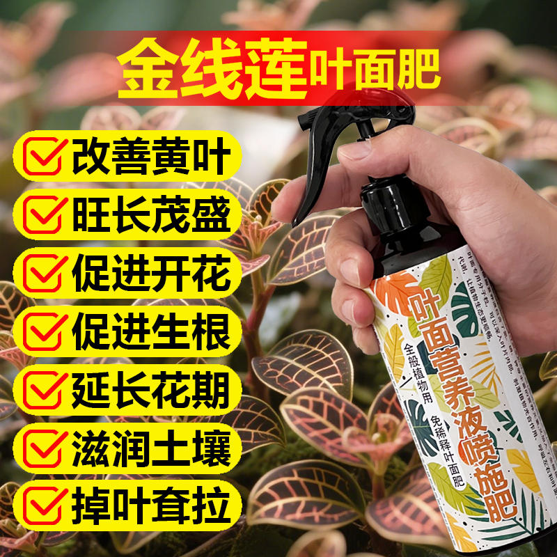金线莲专用肥料种植苗盆栽专用土壤营养液叶面肥氮磷钾水溶化肥料