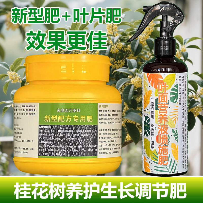桂花树专用肥料盆栽营养液尖发黄干枯萎黑卷曲褶皱发黄锈斑叶面肥
